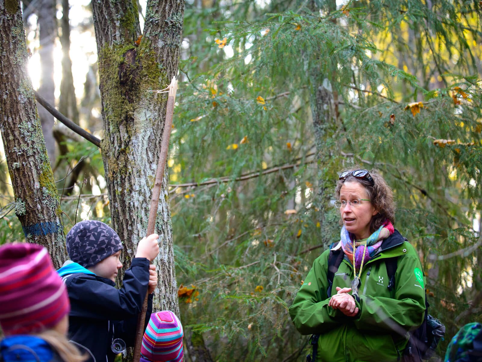 Natursnokarna 20 oktober 2013. Foto: Ted Lindholm