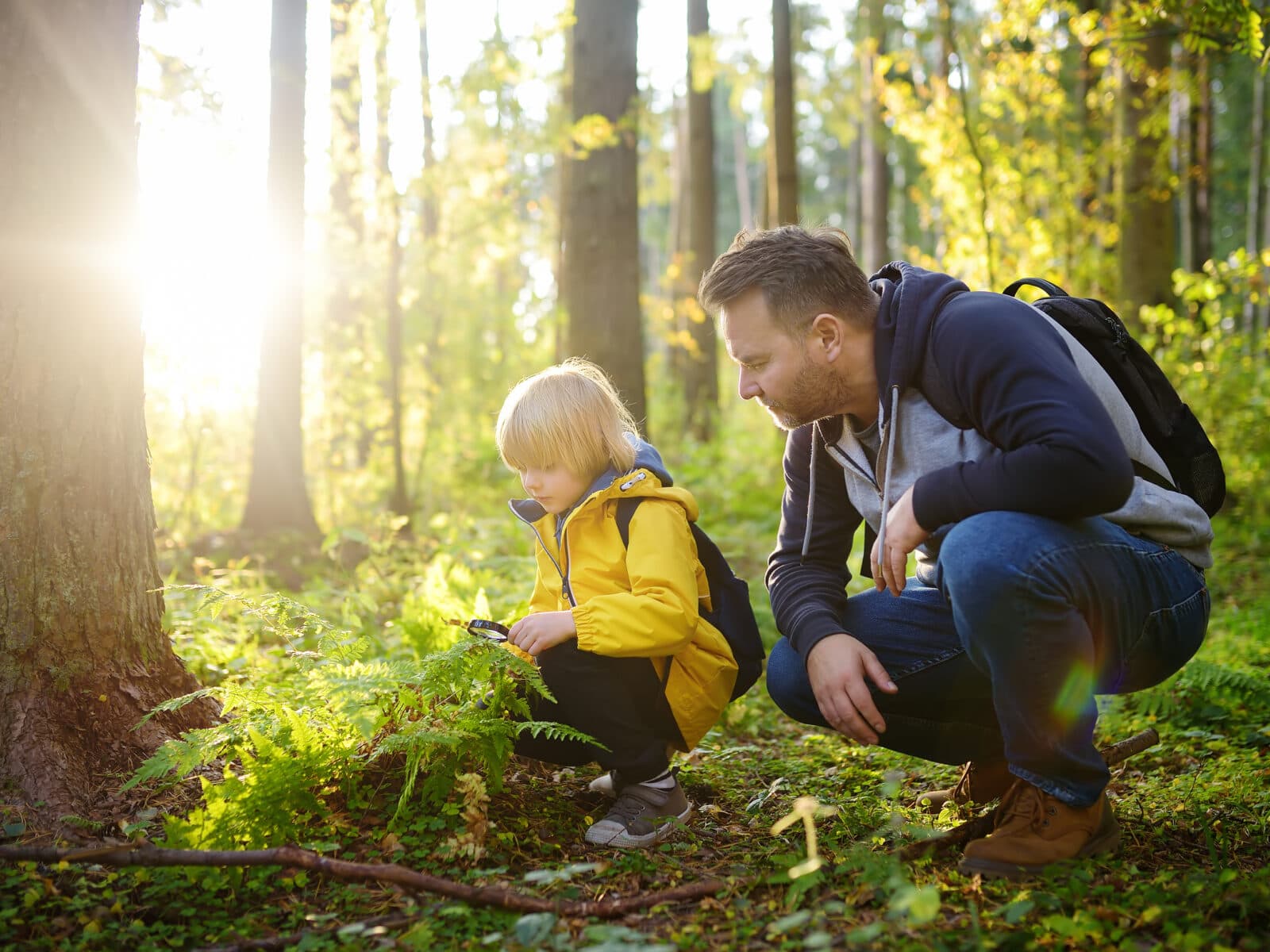 Bilden visar en ung pojke och en vuxen man som befinner sig i en skog. Pojken, som bär en gul regnjacka och har en lupp i handen, undersöker något bland ormbunkarna på marken. Mannen, klädd i en mörk jacka och med en ryggsäck, står böjd bredvid pojken och ser ut att vara engagerad i vad pojken gör. De är omgivna av gröna träd och solljuset som sipprar genom lövverket skapar en varm och lugn atmosfär. Det ser ut som en pedagogisk eller utforskande aktivitet i naturen.